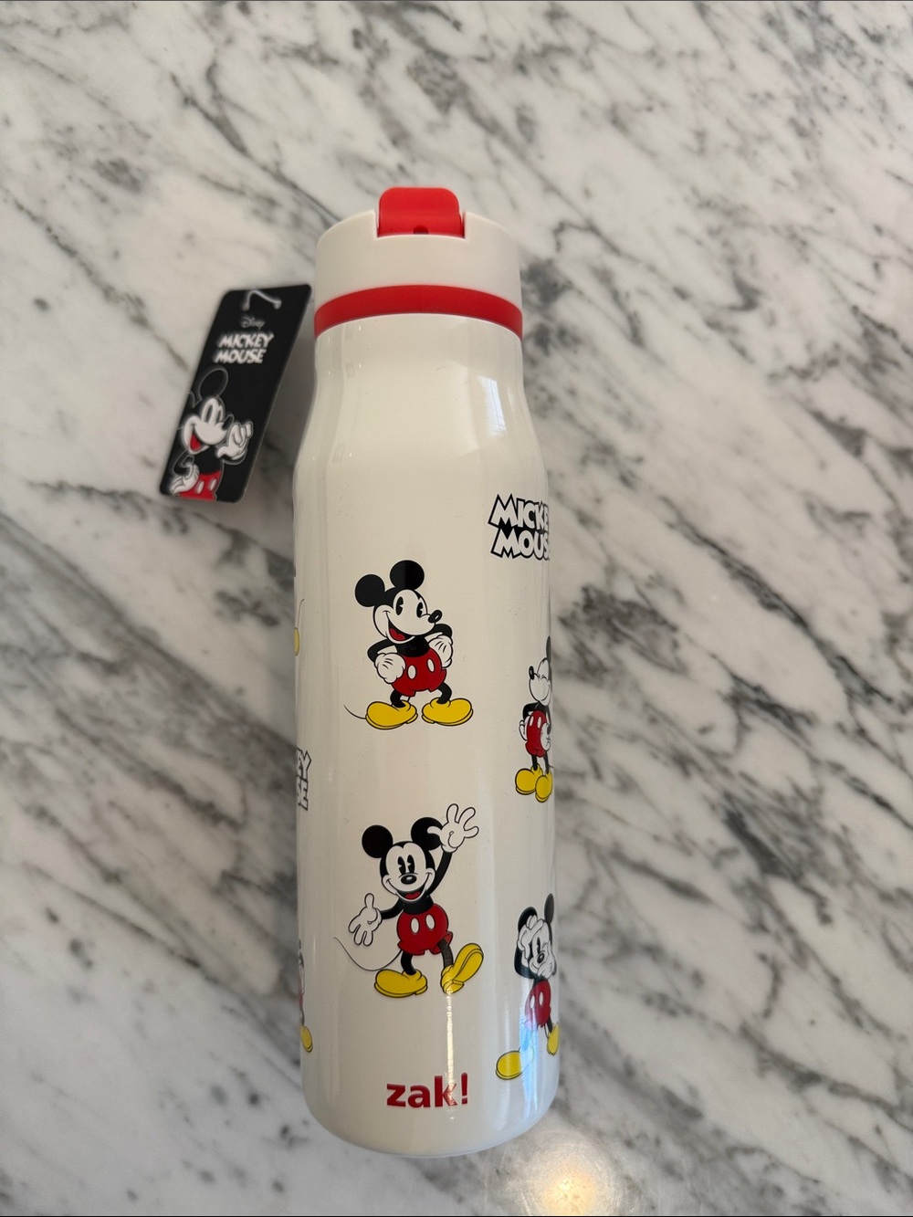 NEW Disney Zak! Vacuum Insulated Water Bottle